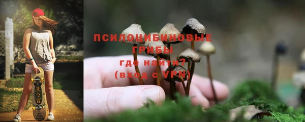 тгк Алексин