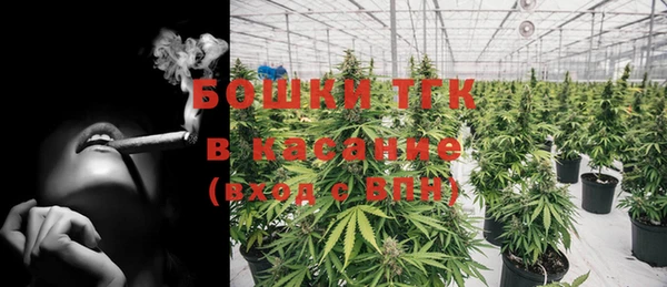 тгк Алексин