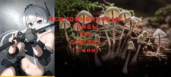 героин Алзамай