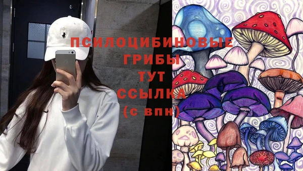 тгк Алексин